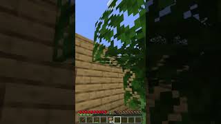 Minecraft, but it's a Survival Let's Play...