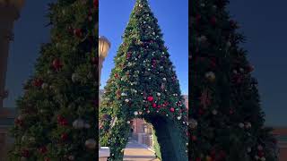 ⭐️🎄🦌Huge Tree🦌🎄😱#subscribe #viral #youtube #youtubeshorts #christmas #tree #reindeer #mall