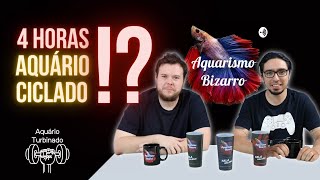 👉Acelerador Biológico para Aquários Funciona? Como Ciclar Aquário em 4h?