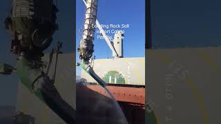 Rock Salt in Chile #shorts #rocksalt