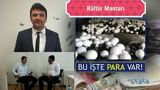 KÜLTÜR MANTAR ÜRETİM SÜRECÜ #BUİŞTEPARAVAR