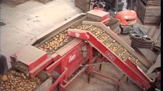 Tong Caretaker Mobile Potato Grader