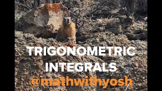 trigonometric integrals