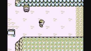 Skip Brock's Gym (Pokemon Red/Blue)