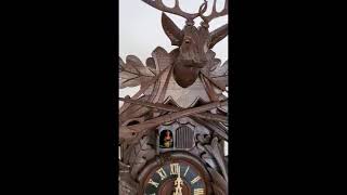 Antique 30 Hr Animated Musical Cuckoo Clock Black Forest Germany