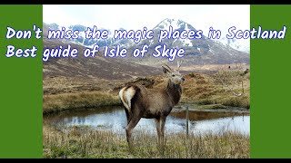 Don't miss the magic places in Scotland –Best guide of Isle of Skye (UK Travel Guide)