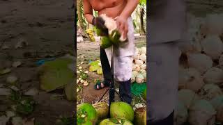 coconut cutting skills | #shorts #short #coconut