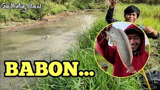 Mantap || Kali Dangkal Dapat Ikan Gede || Mancing