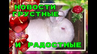 НОВОСТИ ГРУСТНЫЕ И РАДОСТНЫЕ