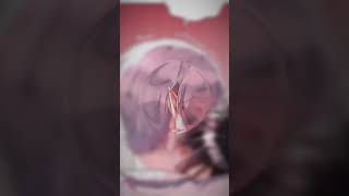 Tiktok đam mỹ #178 #lgbt #đammỹ #bl #hủ #xuhuong #animevmc #tiktok #shorts