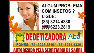 DEDETIZADORA BOM SUCESSO FORTALEZA (85) 3214.4330