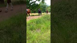 Horse ride | Lady Jockey #shorts  #horse ride