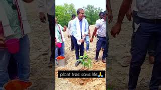 Plant tree save life 🙏🙏#shorts #shortfeed