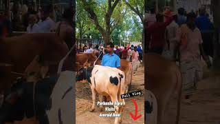 amraid haat #purbashaagro #cowvideos....................................https://youtu.be/PXba3jrEH1w