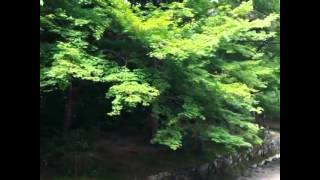 20140609 Nisonin Temple