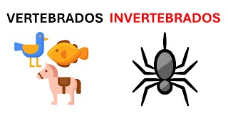 Cuales son los animales vertebrados y invertebrados