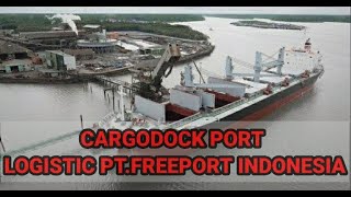 Cargodock Area penampungan Logistic PT.Freeport Indonesia