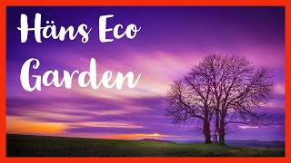 Bienvenidos a Häns Eco Garden 🎬 Pasión por la naturaleza 🌱 Plantar Esquejes Acodo aéreo 🌱 Huerto