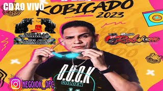 CD AO VIVO MEGA ROBSOM EM MOSQUEIRO 22 07 2023 DJ FELIPE KOBIÇADO