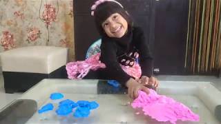 Ilisha had a Fun Day Playing with Sand & Learn SEA Animals | Princess Ilisha