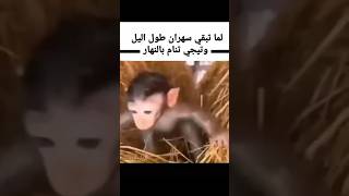 بواقي زيت السمك 😂😂😂 #اكسبلور