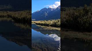 Mirror lakes walk-Fiordland NZ #newzealand #tourism #nature #beautiful #viral #foryou #travel