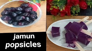 JAMUN Popsicle #viral #shorts#video