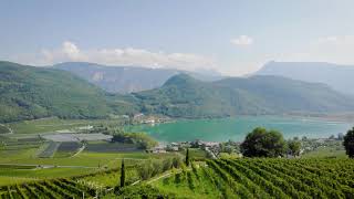 Der Kalterer See eingebettet in seine Weinberglandschaft