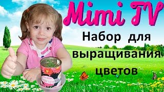 Милана сажает цветочки маргаритки. Выращиваем цветы в банке. Набор для выращивания цветов.