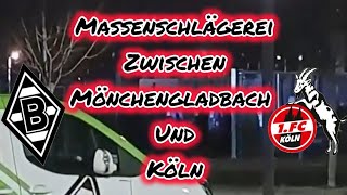 Massenschlägerei zwischen Borussia Mönchengladbach und dem 1.FC Köln #bundesliga #ausschreitungen