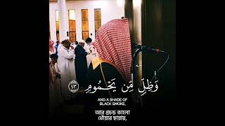 বাম দিকের লোকদের বর্ণনা 😭🥺 #shorts 1 #emotional_recitation #luhaidan#surahwaqiah #crying #recitation