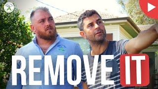 REMOVE YOUR NEIGHBOURG TREE! - SHANES TREES