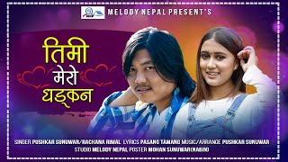 TIMI MERO DHADKAN | PUSHKAR SUNUWAR / RACHANA RIMAL | NEW NEPALI  LOVE SONG 2020