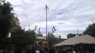 Voladores de Papantla en Talquepaque Jalisco