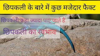 छिपकली के बारे में रोचक जानकारी ! TOP FACT FOR LIZARD!