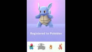 Pokmon go elvolving squirtle into wartortle