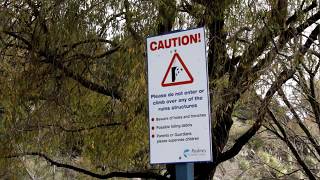 Warkworth Cement Ruins