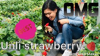 Strawberry farm sa Japan! With side trip ( beach front) | kim stories ❤️