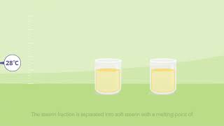 How is palm oil produced? (3) Fractionation (English subtitles)