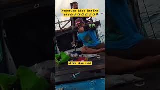 strek ikan imut #fishing  #shorts  #video  @mbolang_fishing