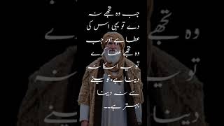 IBN UL ARABI | Urdu Hindi Quotes Ertugrul Quotes Islamic Quotes #3