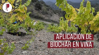 Aplicación de Biochar en Viña