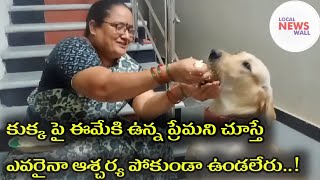 See how the dog is fed with love by Caregiver|Women Love Towards Labrador|Dog Lovers|Local News wall