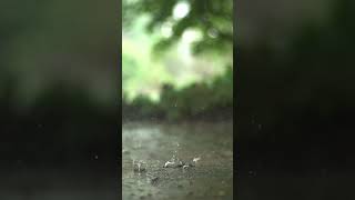 Raindrops in Super Slow Motion