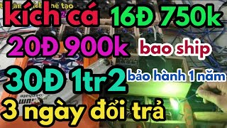 kích cá 16Đ 750k . 20Đ 900k . 30Đ 1tr2 bao ship bảo hành 1 năm [ thuận thích chế tạo ]