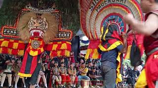 SOLAH DADAK MERAK KUPU TARUNG KEREN LUUR REOG PONOROGO #dadakmerak #reog