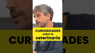 Curiosidades sobre la veterinaria