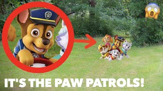 I FOUND PAW PATROLS IN REAL LIFE!