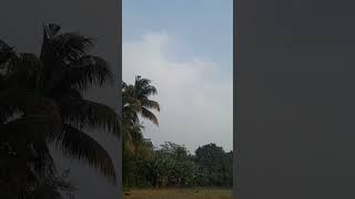 Nature of village #shortvideo #shorts #nature #amazing