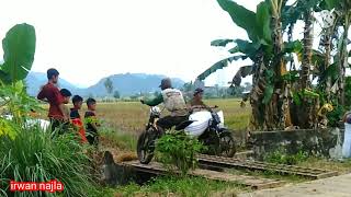 Panen padi || seru banget semangat para petani mengangkut hasil panen